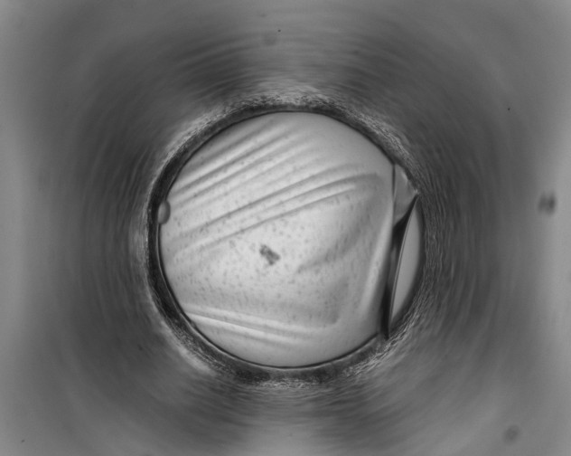 X0000099430630200805301429