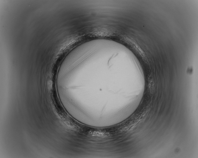 X0000099430635200805301429