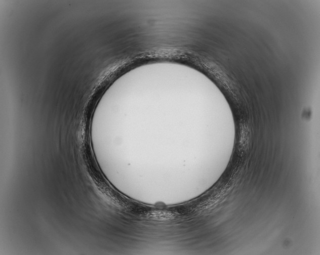 X0000099430636200805301429