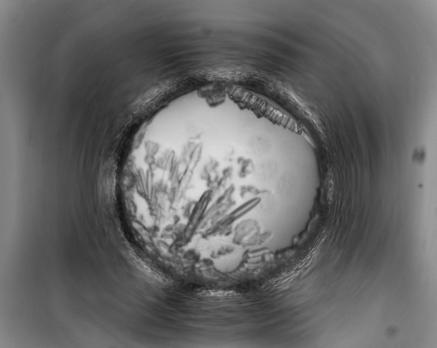 X0000099430637200805301429