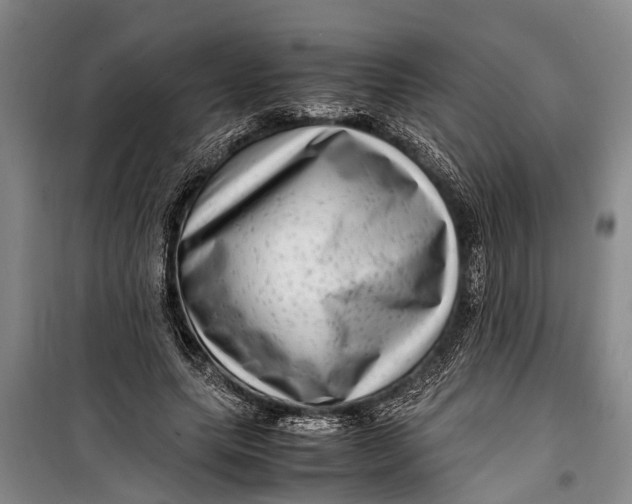 X0000099430639200805301429