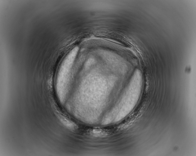 X0000099430641200805301429