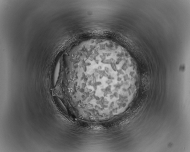 X0000099430642200805301429