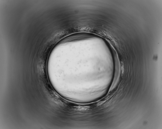 X0000099430643200805301429