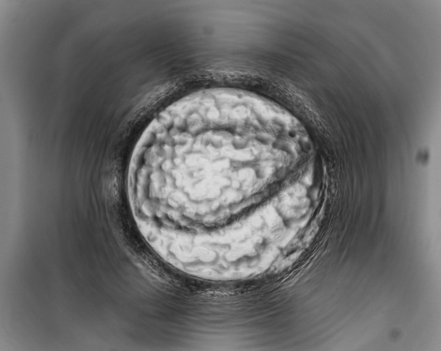 X0000099430644200805301429