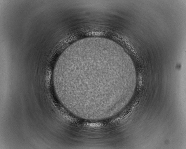 X0000099430645200805301429