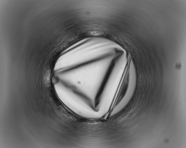 X0000099430646200805301429