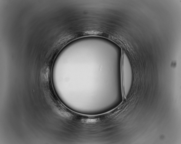 X0000099430647200805301429