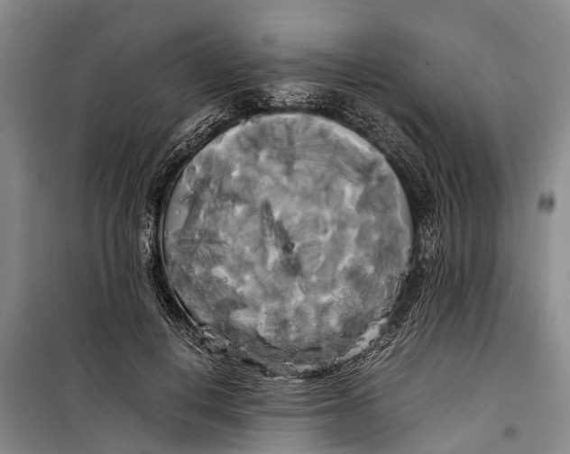 X0000099430648200805301429