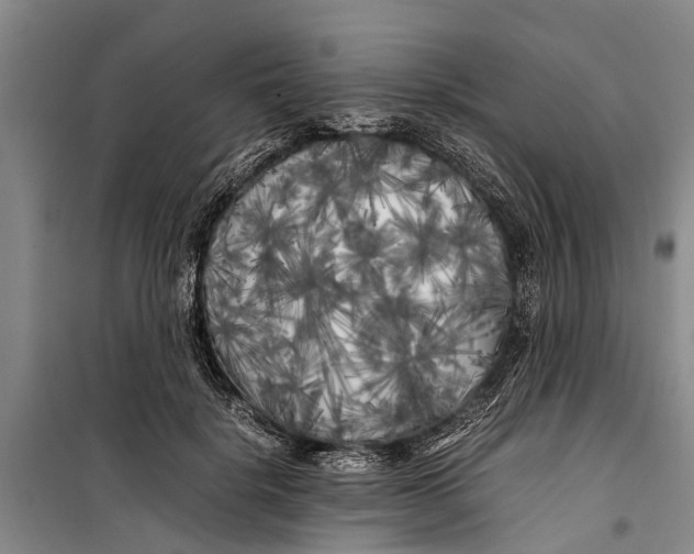 X0000099430652200805301430