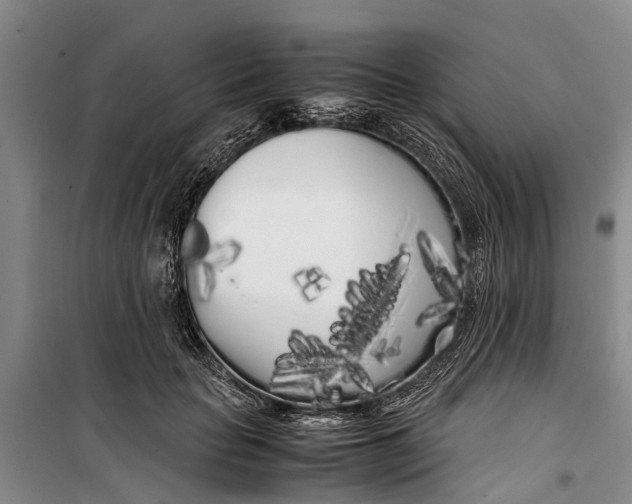 X0000099430653200805301430