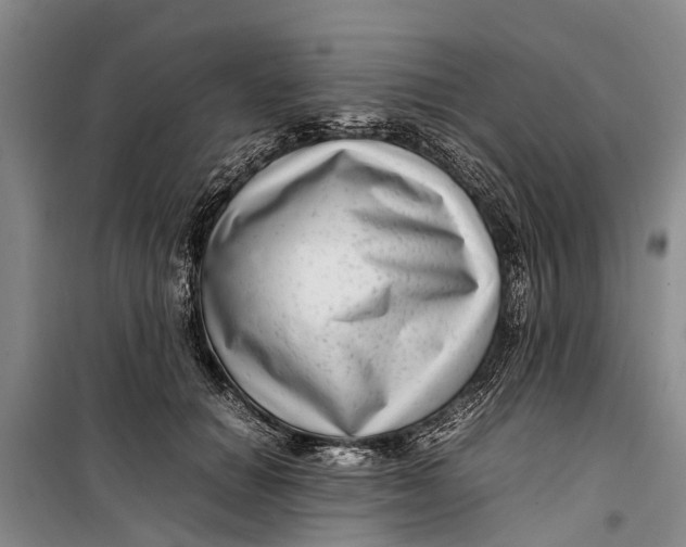 X0000099430654200805301430