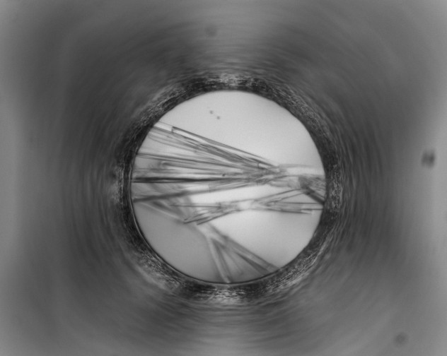 X0000099430656200805301430