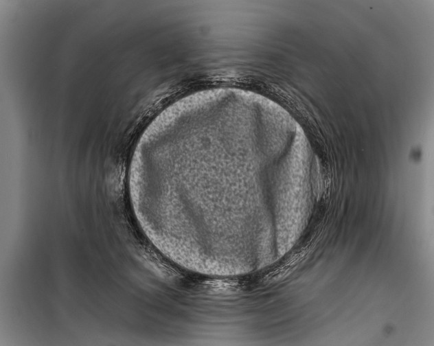 X0000099430660200805301430