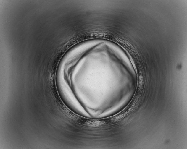 X0000099430661200805301430