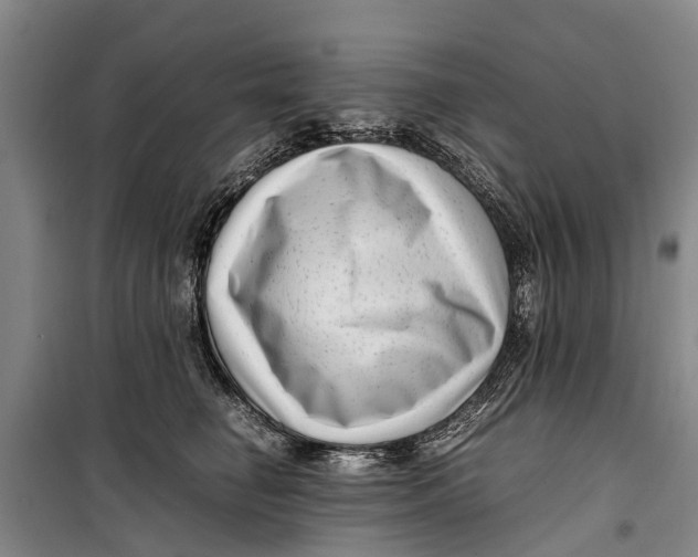 X0000099430662200805301430