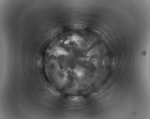 X0000099430663200805301430