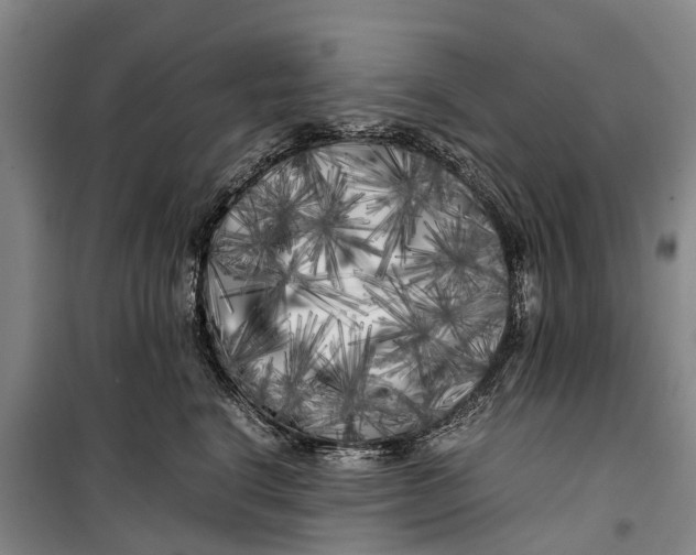 X0000099430664200805301430