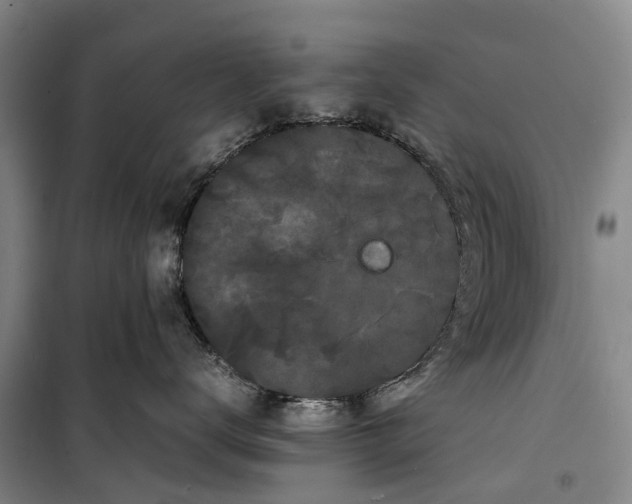 X0000099430672200805301430