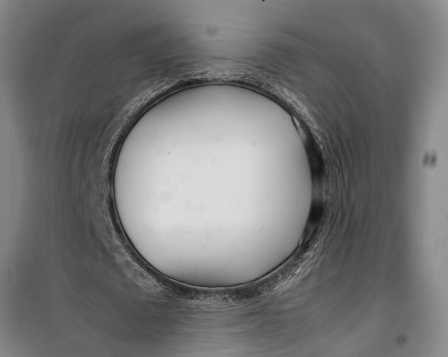 X0000099430673200805301429