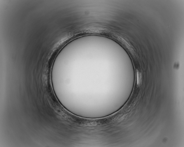 X0000099430675200805301429