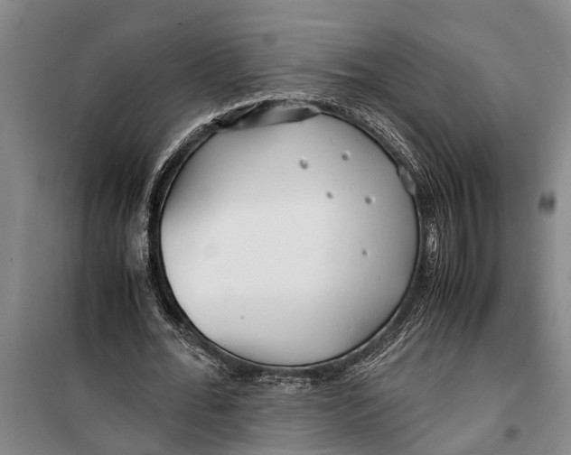 X0000099430676200805301429