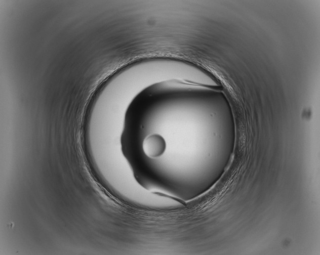 X0000099430677200805301429