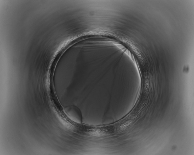 X0000099430678200805301429