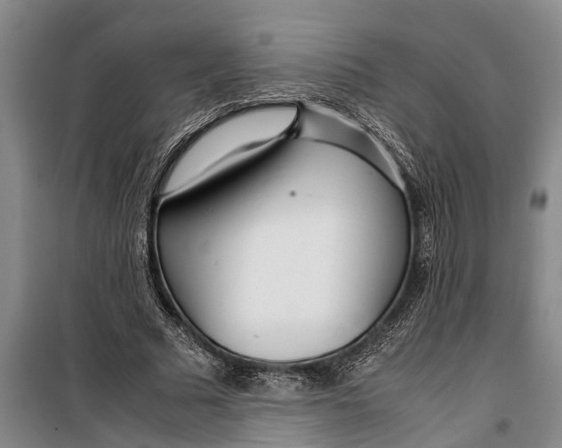 X0000099430681200805301429