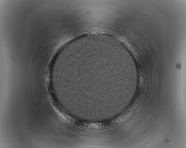 X0000099430683200805301429