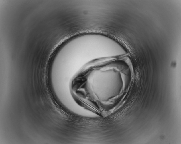 X0000099430684200805301429