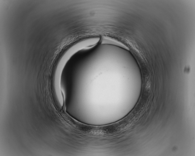 X0000099430685200805301429