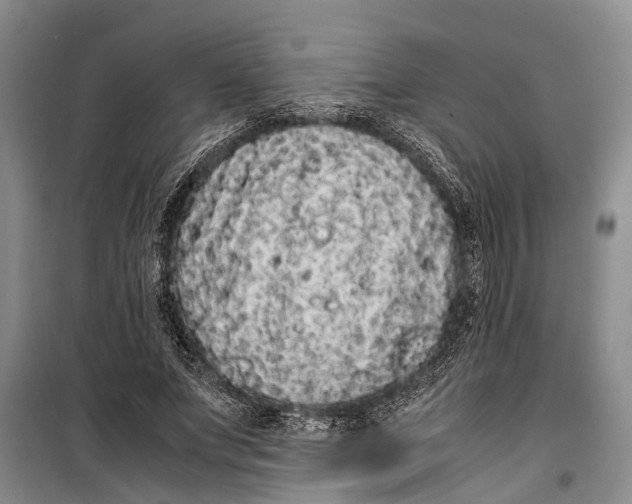 X0000099430687200805301429