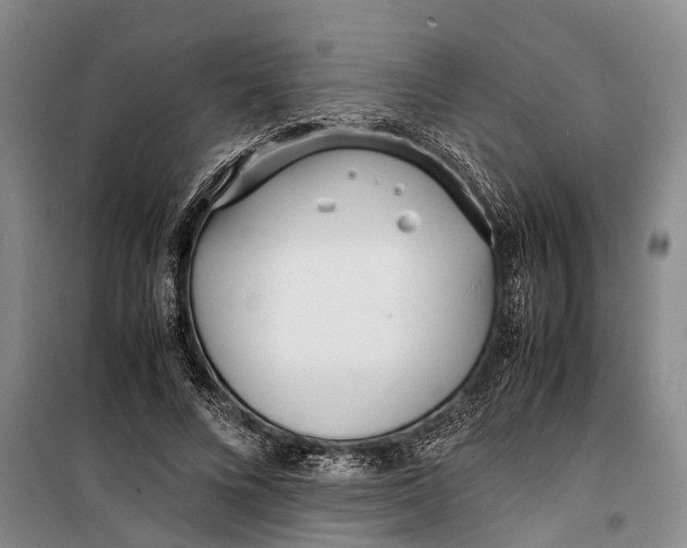 X0000099430688200805301429