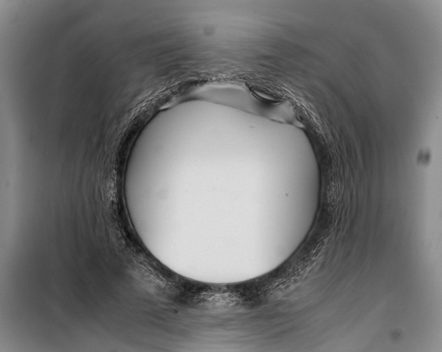 X0000099430689200805301429