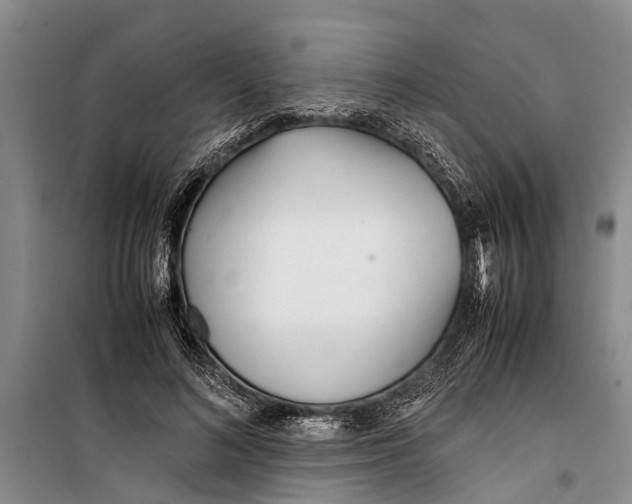 X0000099430692200805301429