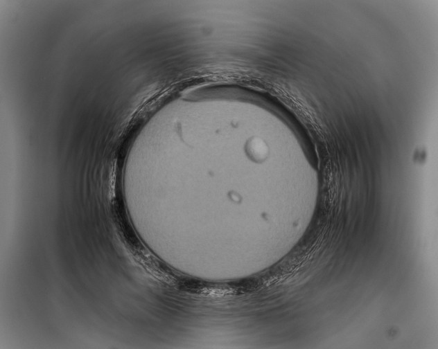 X0000099430694200805301429