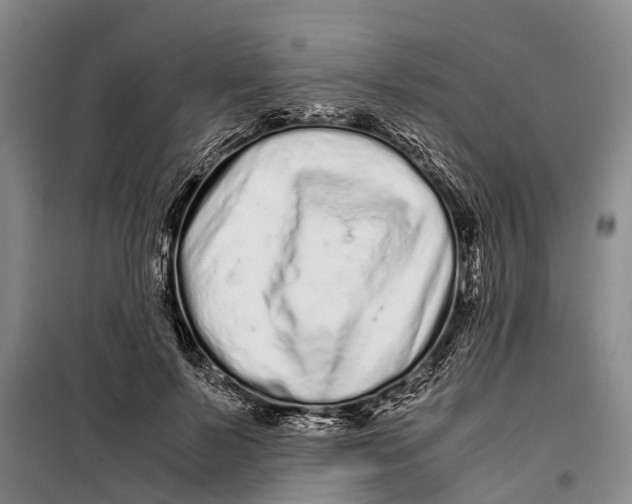 X0000099430695200805301429