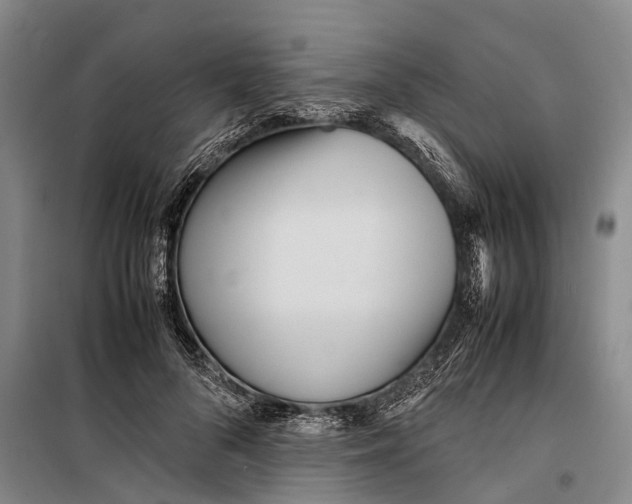 X0000099430696200805301429