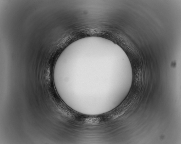 X0000099430700200805301429