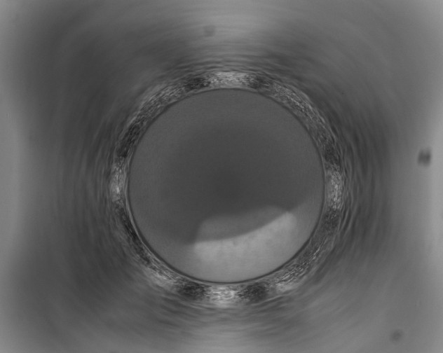 X0000099430701200805301429