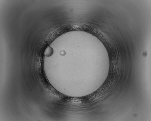 X0000099430702200805301429