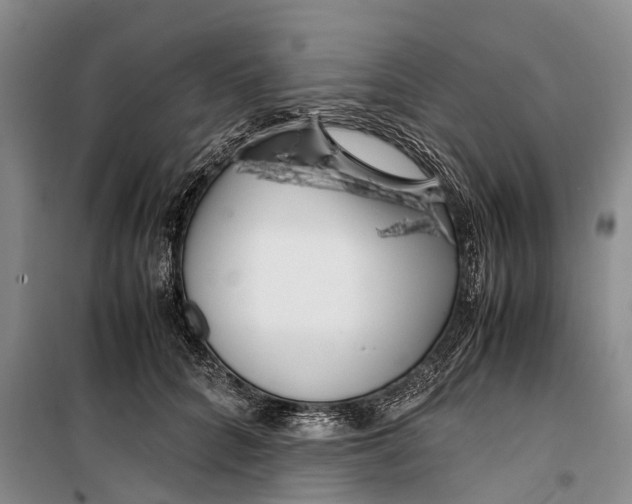 X0000099430704200805301429