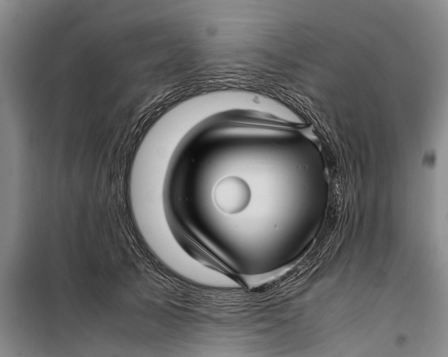 X0000099430705200805301429