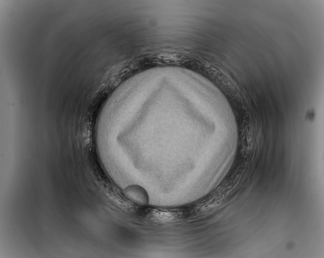 X0000099430706200805301429