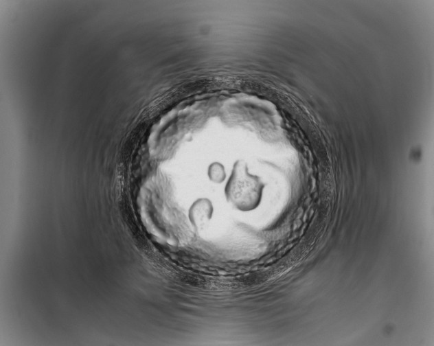 X0000099430707200805301429