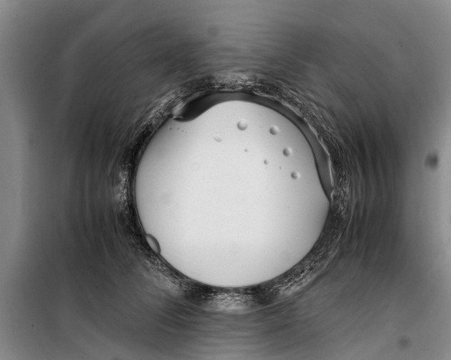 X0000099430708200805301429