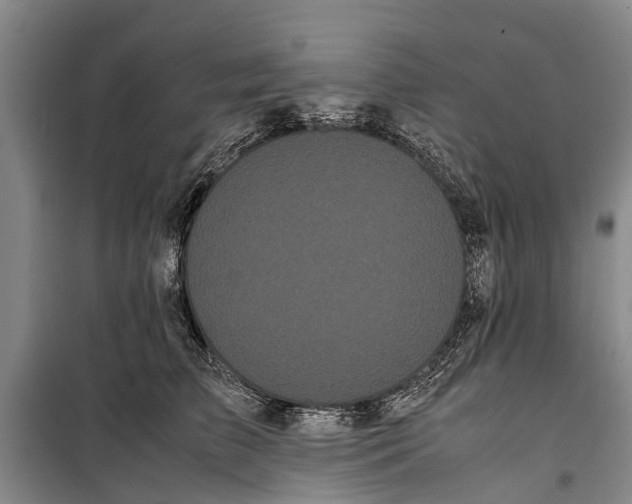 X0000099430709200805301429