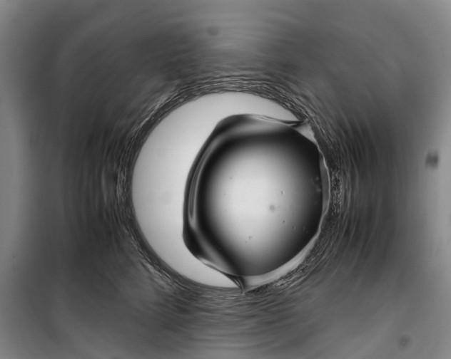 X0000099430712200805301429