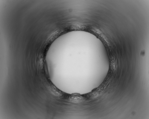 X0000099430716200805301429